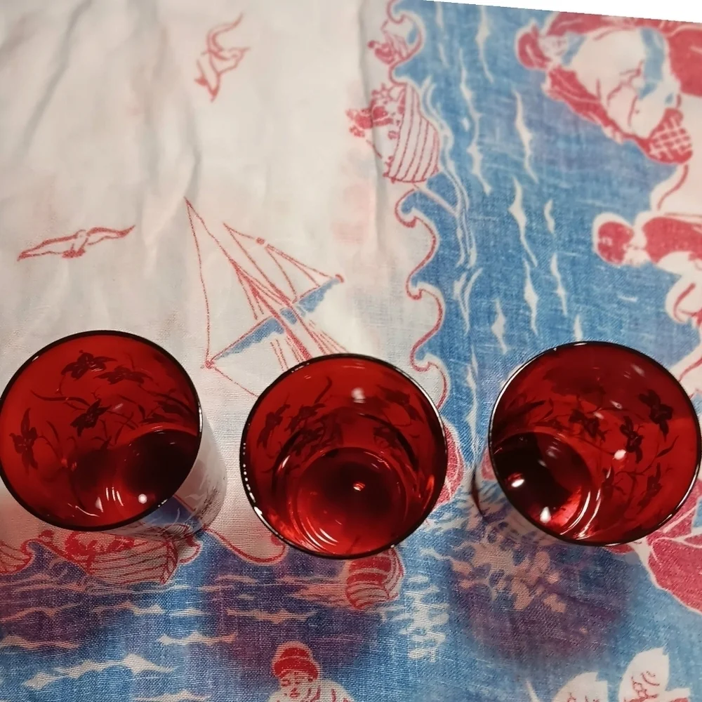 Vintage Red Glasses W Off-white Floral